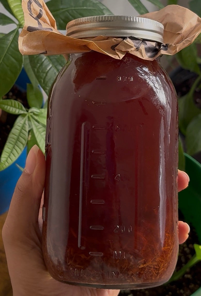 Cats claw & Chaney root extract