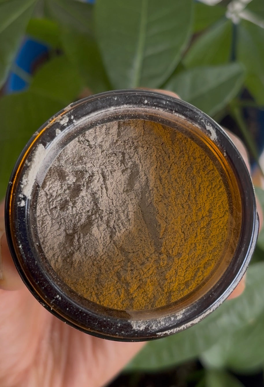 Herbal tooth powder