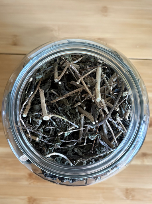 Blue vervain