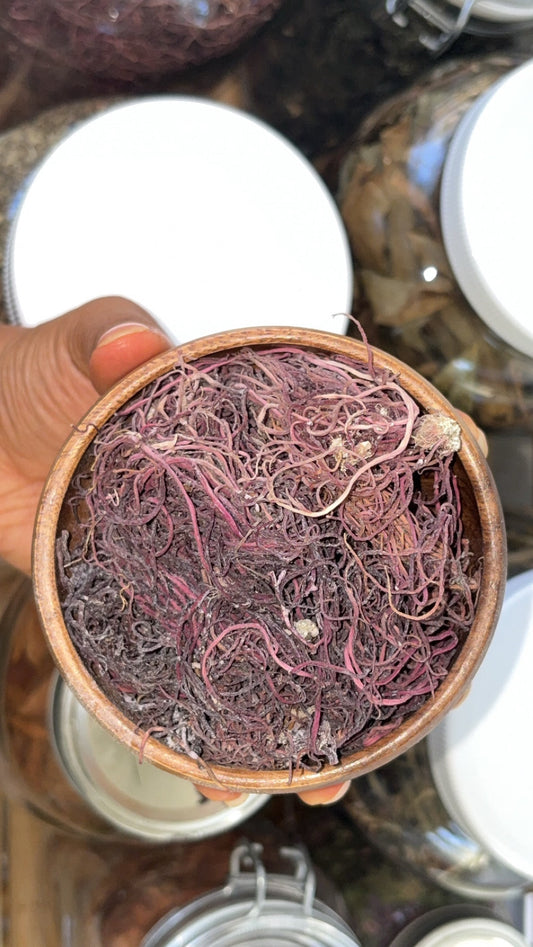 Jamaican wild crafted spaghetti sea moss
